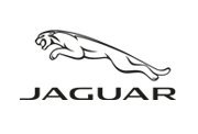 jaguar-1